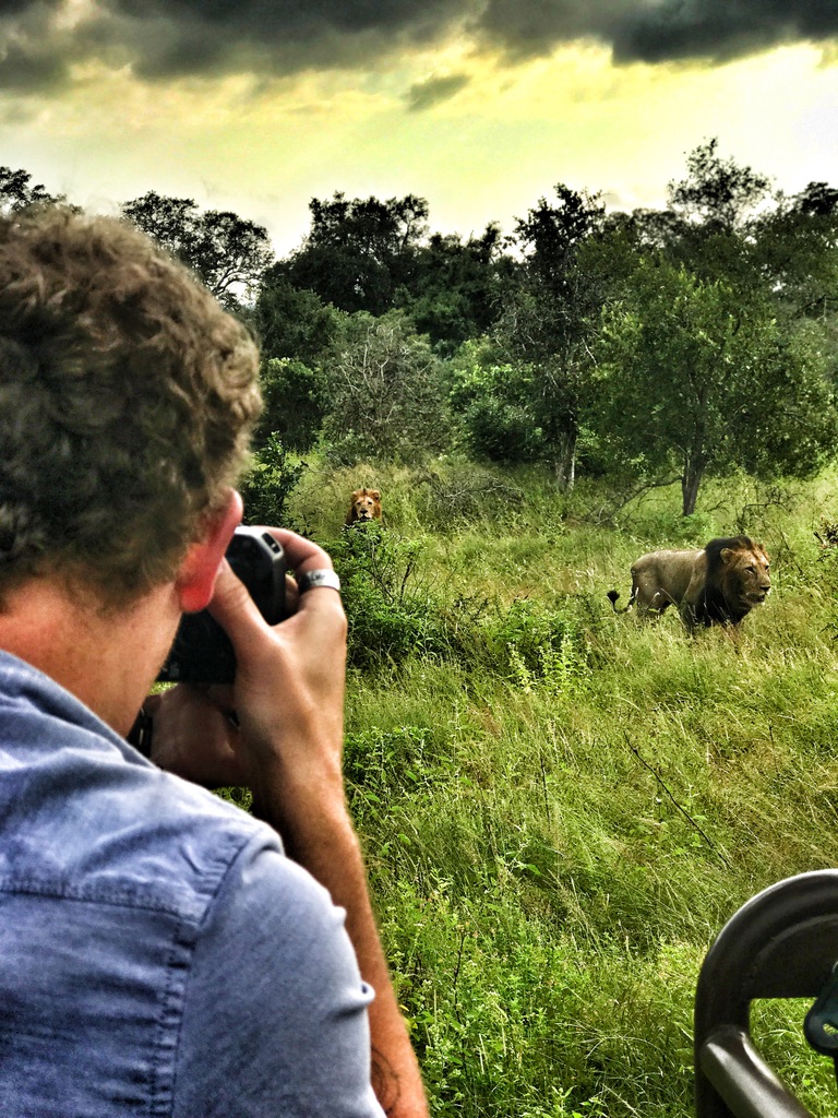 South Africa — Two lions, open vehicle